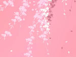 Pink background branches windows 7 wallpapers. jpg