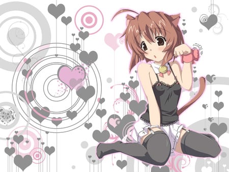 neko chan - white, girls, hearts, neko, pretty, cat, funny, cute