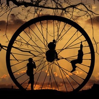 The Wheel of Life 