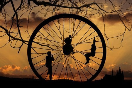 The Wheel of Life  - sky, trees, night, sunset, playing, black, game, clouds, tree