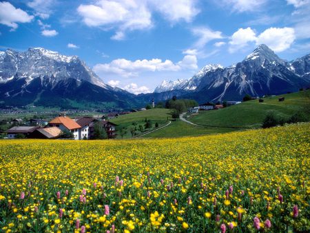 Countryside Splendor - house, flowers, field, mountains