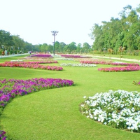 Lahore's spring