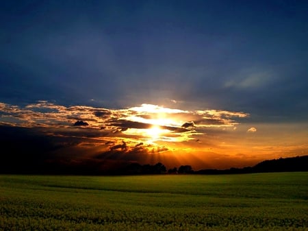 DISSAPEARING DAY - sunshine, sky, sun, sunset, field, blue, dawn, clouds, orange, sunrays, grass