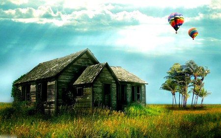 BEAUTIFUL DAY - beautiful day, plank, sunshine, palm trees, hot air, creepy plants, village, windy, balloons, house, grass, old