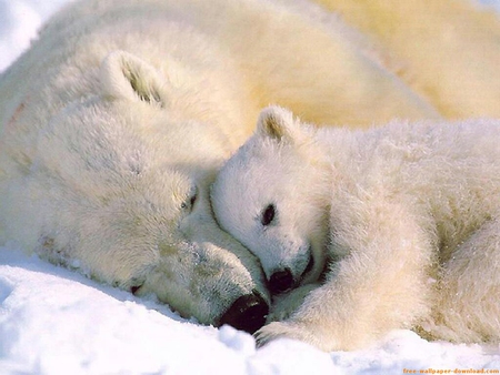 mom and baby - cute, mother, baby, awwww