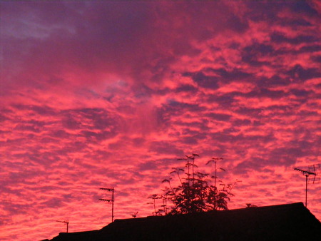 pink sunset - night, sunset, peaceful, pink