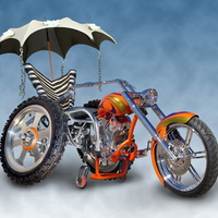 harley trainer