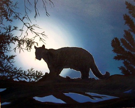 After the hunt - moon, leopard, night, branch