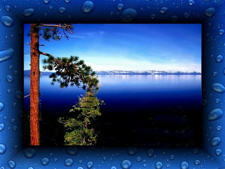 Beauty framed - tree, lake sky, frame, drops