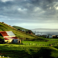 Chatham Island View