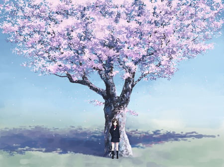 sakura - pretty, big tree, under, sakura, blossom, cherry, beautiful, cool, petals, girls, colorful, cute