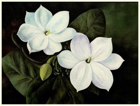 More Jasmine For Lisy - white, painting, for lisy, art, jasmine, green leaves, bud