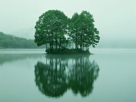 Green Reflections - reflections, green, abstract, 3d and cg