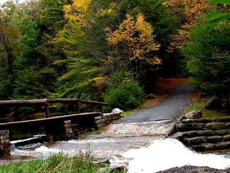 OVERFLOW - water, road, stream, forest, stones, wooden bridge, overflow, river, autumn