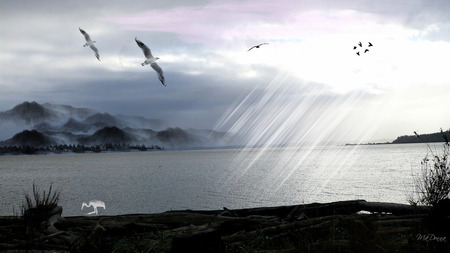 Island Beyond - sky, clouds, sun, water, shore, mountains, widescreen, birds