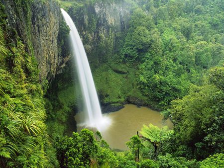 Bridal Falls, New Zealand - bridal, waterfalls, foam, rivers, amazing, new zealand, muddy, forests, fabulous, plants, nice, trees, water, beautiful, falls, moss, cool, stones, wonderful, white, nature, awesome, green, rocks