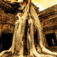 Preah Khan Temple