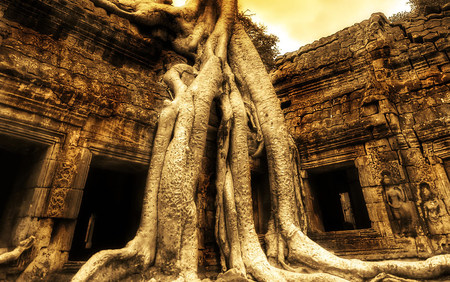 Preah Khan Temple - ancient temple, tree on temple, temple, cambodia ancient temple, tree