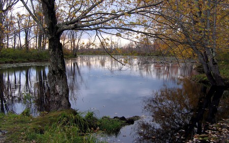 Quiet Lake - lake, quiet