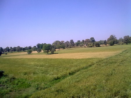 green fields - fields, greenery, green