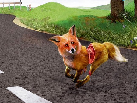 Faster-fox - faster-fox, funny picture