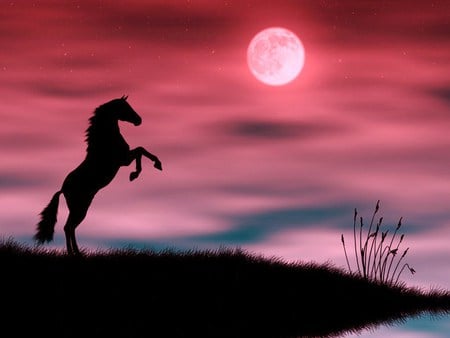 Moon stallion - moon, sky silhouette, rearing, horse