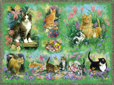 Kittens, cats, and flowers