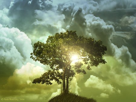 The tree of life - tree, clouds, sun