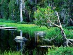 Siesta Lake, yosemite national park 