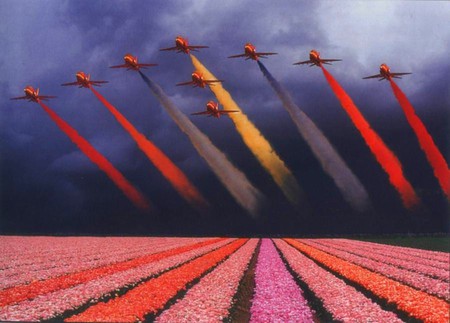 Beautiful Picture - jets on flowers field, beautiful picture