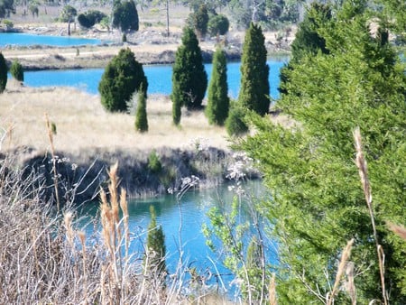 ~Weeki-Wachee Preserve~Rock Island~Limestone Lake~ - trees, water, blue, beautiful, photograph, florida, nature, land, freash water, lakes, foliage