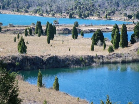 ~Weeki-Wachee Preserve~Rock Island~Limestone Lake~ - trees, water, blue, beautiful, photograph, florida, nature, land, freash water, lakes, foliage