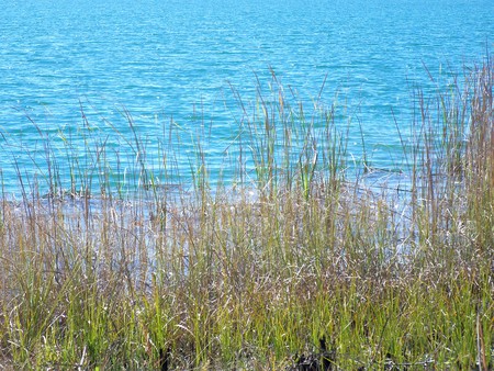 ~Weeki-Wachee Preserve~Rock Island~Limestone Lake~ - freash water, trees, florida, water, foliage, lakes, nature, beautiful, blue, photograph, land