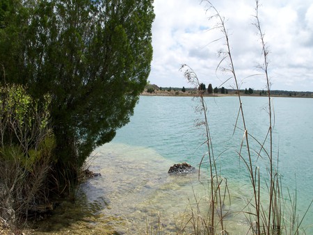 ~Weeki-Wachee Preserve~Rock Island~Limestone Lake~ - trees, water, blue, beautiful, photograph, florida, nature, land, freash water, lakes, foliage