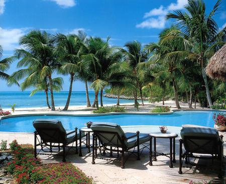 View - abstract, palms, water, view, sky, lounge chairs