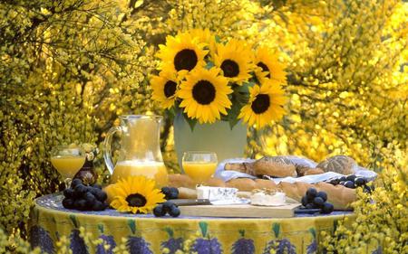 Sunflower - sunflower, trees, fruit, juice, nature, abstract, yellow, beautiful, table