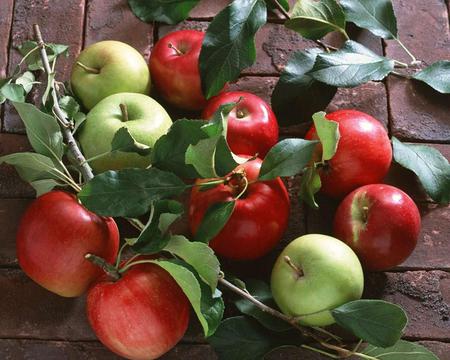 Apples - apples, abstract