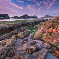 Coastal Landscape