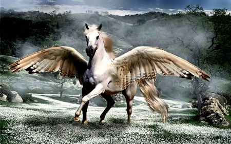 Pegasus