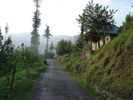 Thin Road on Mountains - india, thin, mountain, environment, road, himachal pradesh, nature, abstract, green, house