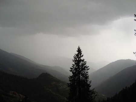 Fog on mountains - heaven, abstract, fog, great, india, tree, dark, himachal pradesh, nature, cold, mountains, environment