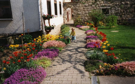 Smelling the flowers - path, child, playing, brick, flowers, shadows, house, windows