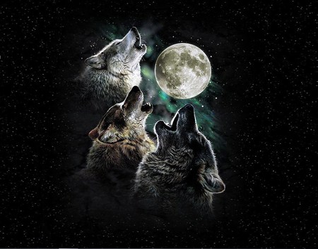 The wolf town trio - sky, wolves, moon, howl, night