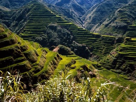 Rice Terraces Philippines