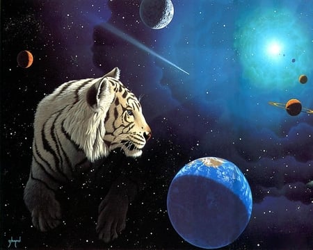 Tiger in space - tigre