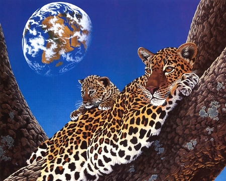 Leopardo - leopard, leopardo