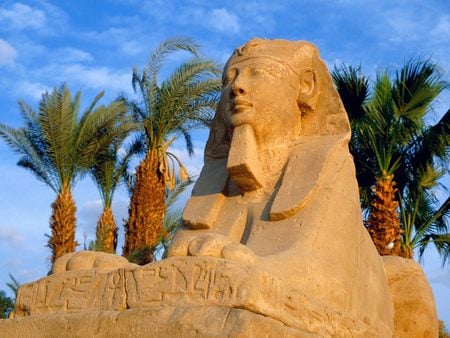 Sphinxes - egypt, avenue of sphinxes, sphinxes, luxor, sphinx