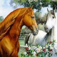 Love Horses