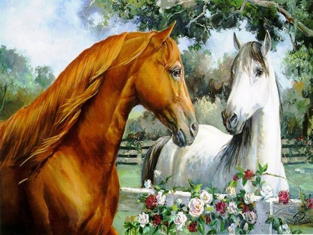 Love Horses