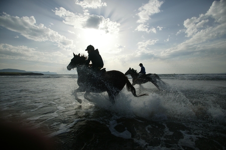 Praia (: - horses